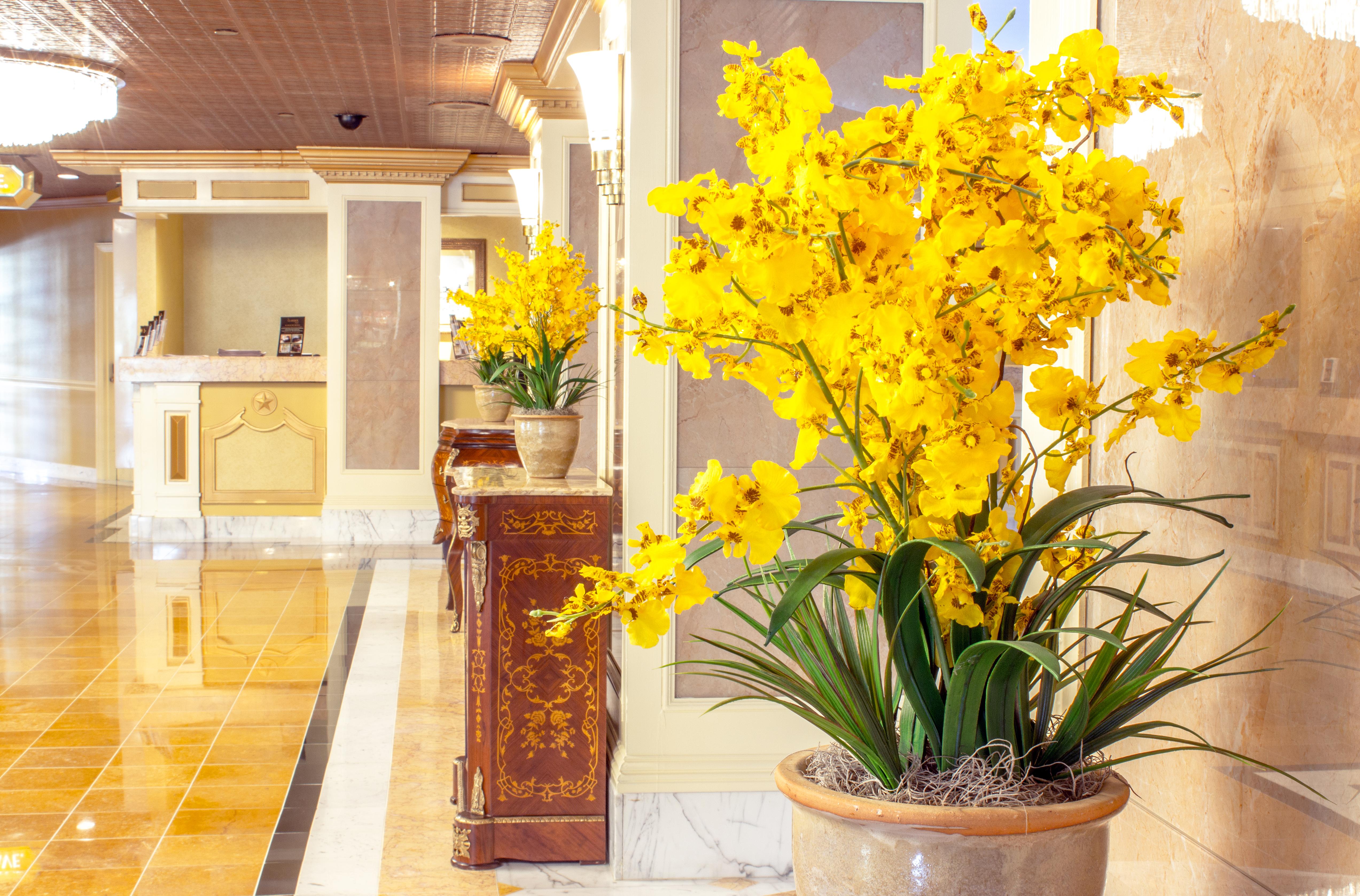 The Claridge Hotel Atlantic City Zewnętrze zdjęcie